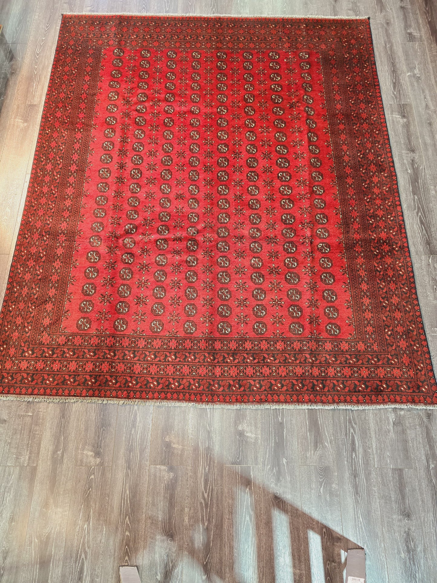 Afghan Aqcha Red L 248 X 300 cm