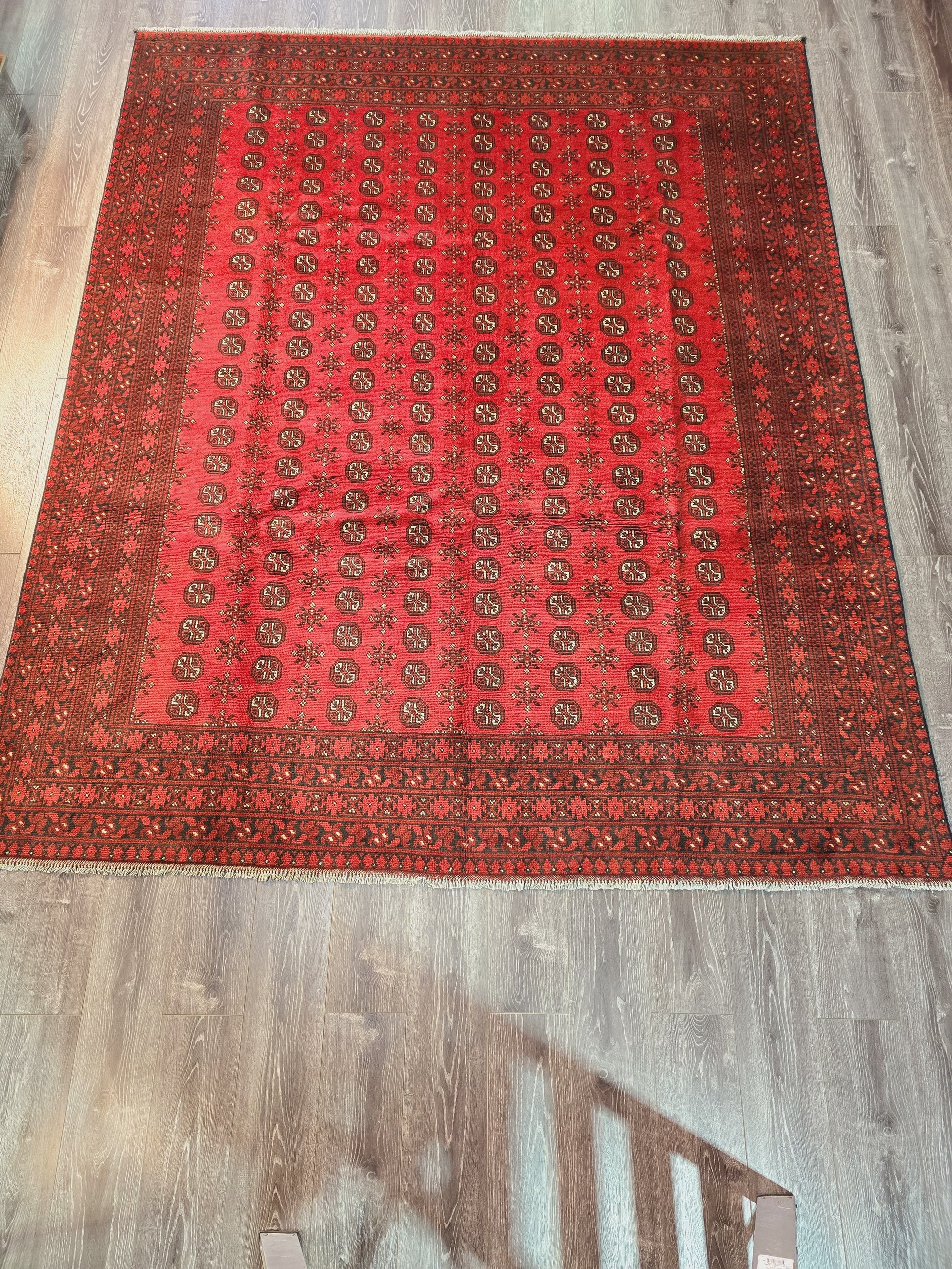 Afghan Aqcha Red L 248 X 300 cm