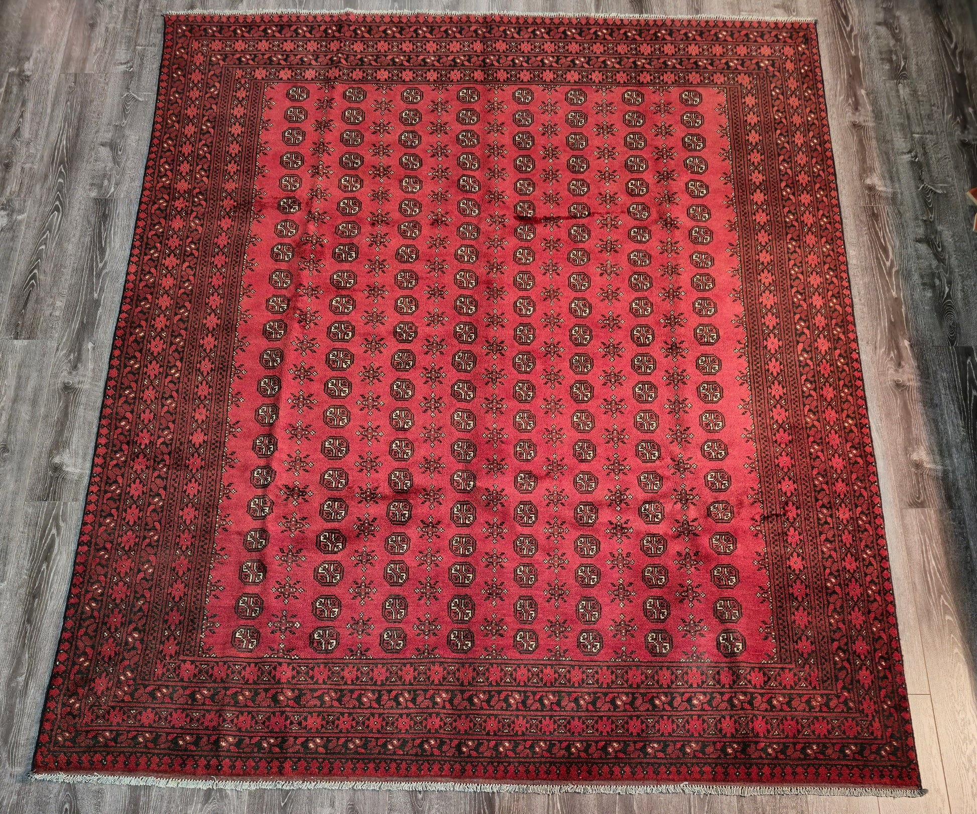 Afghan Aqcha Red L 248 X 300 cm