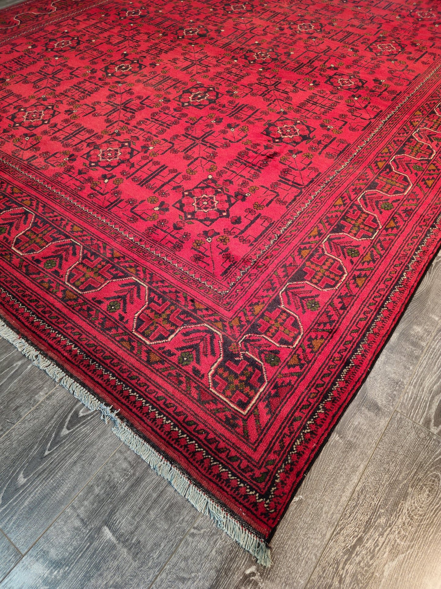 Afghan khal mohammadi