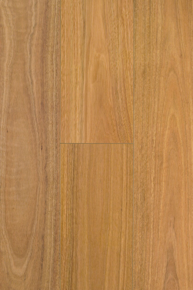 Aqua Wood Plus 12mm - SPOTTED GUM