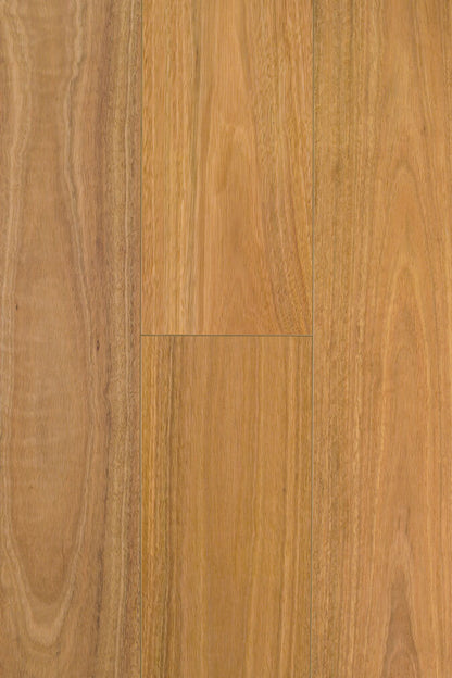 Aqua Wood Plus 12mm - SPOTTED GUM